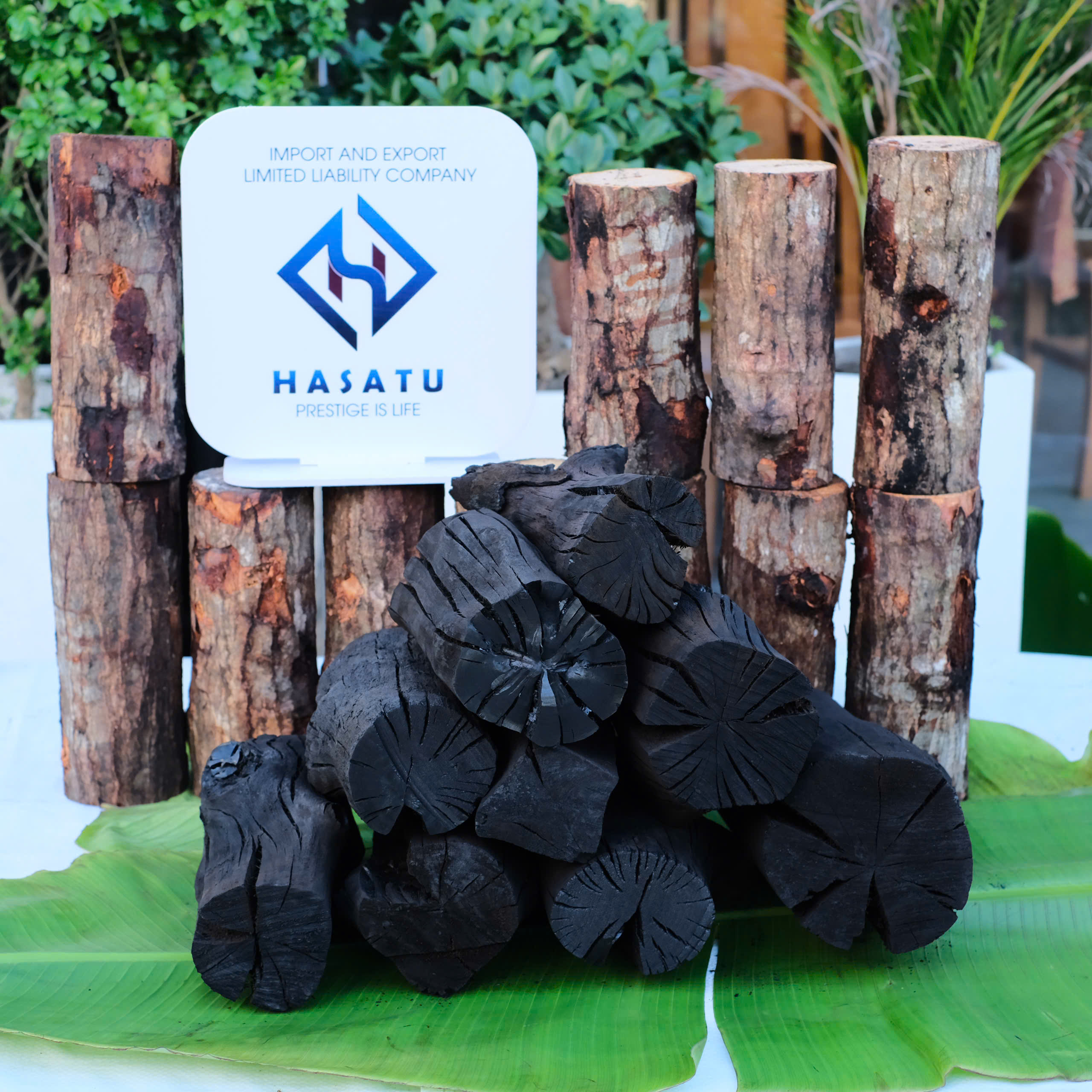 MANGROVE CHARCOAL BIG SIZE 5-10CM